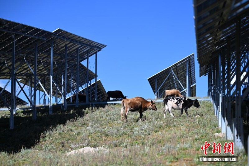 Το ηλιακ? π?ρκο σε υψ?μετρο 4.000 μ?τρων?μετατρ?πεται σε ?τραπεζαρ?α με στ?γη στον ουραν?? για τα γι?κ