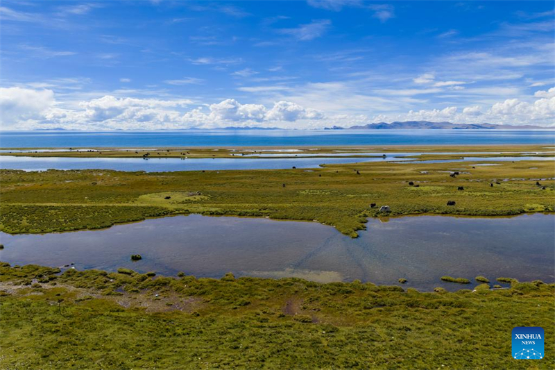 Η φωτογραφ?α που τραβ?χτηκε στι? 16 Σεπτεμβρ?ου του 2025 δε?χνει την θ?α τη? Λ?μνη? Ναμ Τσο, τη? υψηλ?τερη? αλμυρ?? λ?μνη? στον κ?σμο, στην Αυτ?νομη Περιοχ? Σιτζ?νγκ. (Φωτογραφ?α / Xinhua)