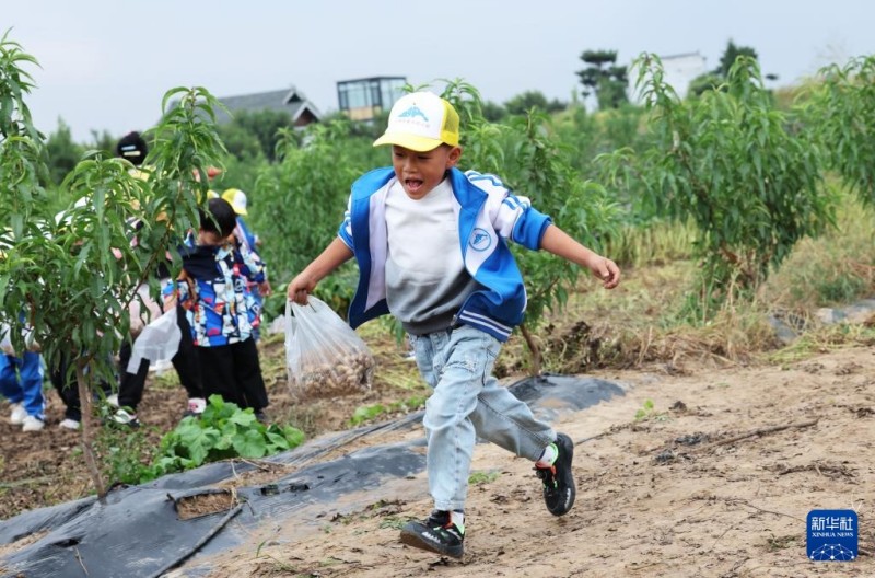 Γιορτ?ζεται το Φεστιβ?λ Συγκομιδ?? των Αγροτ?ν τη? Κ?να?