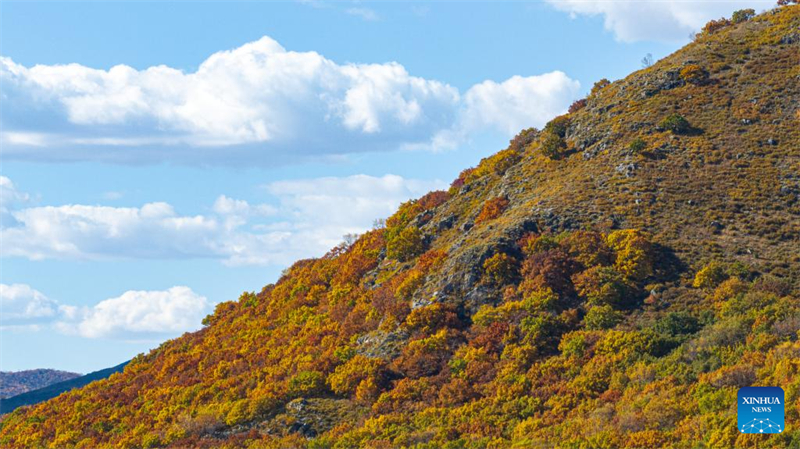Φθινοπωριν? τοπ?ο στην Εσωτερικ? Μογγολ?α