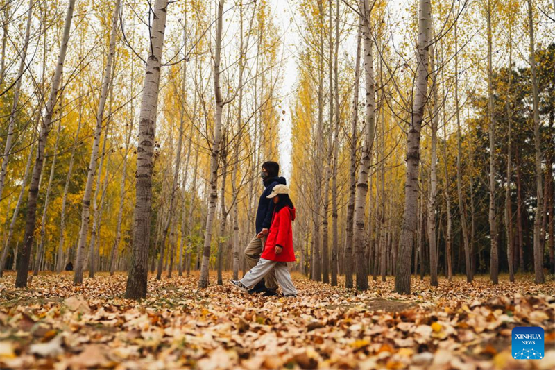Τουρ?στε? απολαμβ?νουν το φθινοπωριν? τοπ?ο στην π?λη Τσανγκτσο?ν