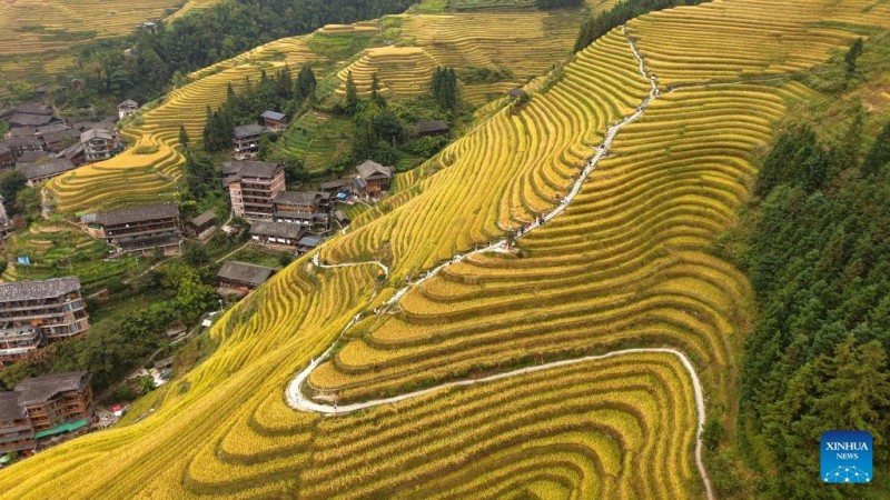 Φθινοπωριν??τοπ?α σε ?λη την Κ?να