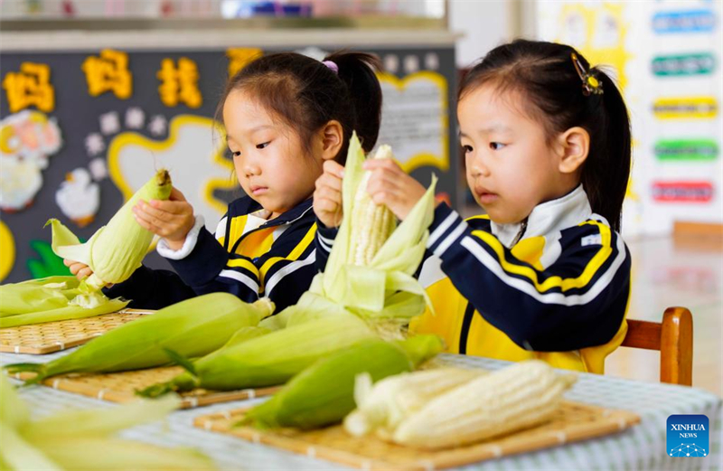 Παιδι? ξεφλουδ?ζουν καλαμπ?κι σε νηπιαγωγε?ο στην π?λη Τανγκσ?ν τη? επαρχ?α? Χεμπ?ι, στι? 14 Οκτωβρ?ου του 2025. (Φωτογραφ?α / Xinhua)