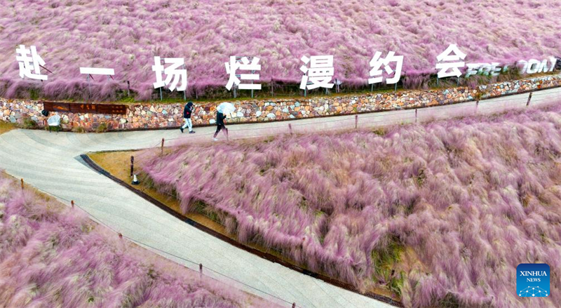 Οι χρυσαφ?νιε? μ?ρε? του φθινοπ?ρου προσελκ?ουν ανθρ?που? σε εξωτερικο?? χ?ρου? σε ?λη την Κ?να