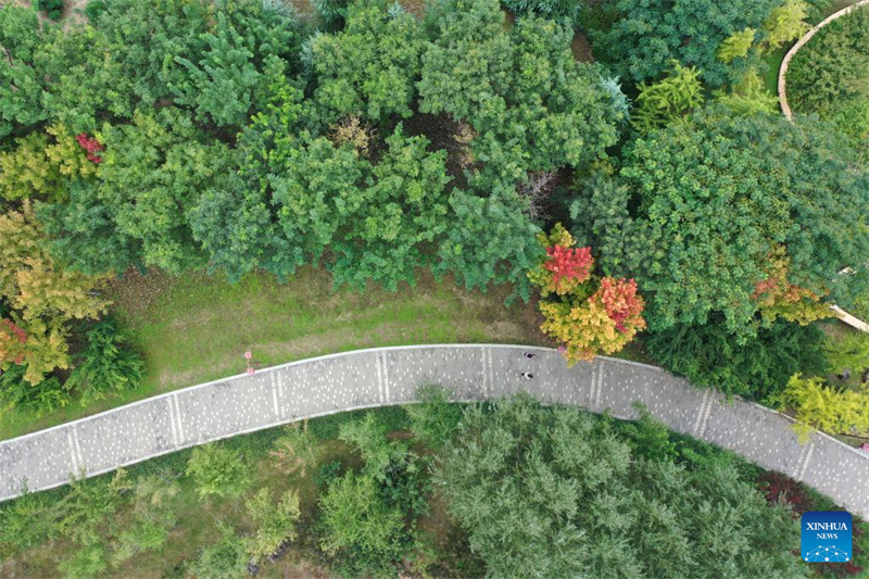 Οι χρυσαφ?νιε? μ?ρε? του φθινοπ?ρου προσελκ?ουν ανθρ?που? σε εξωτερικο?? χ?ρου? σε ?λη την Κ?να