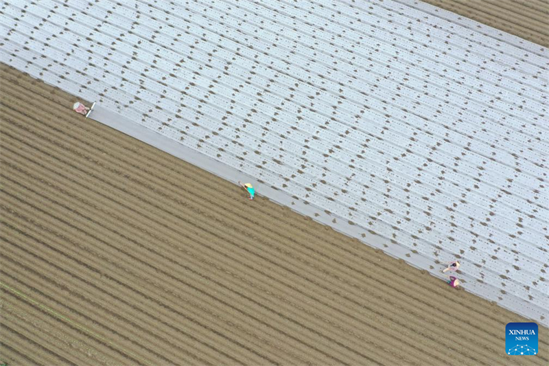 Φθινοπωριν? συγκομιδ? σε ?λη την Κ?να