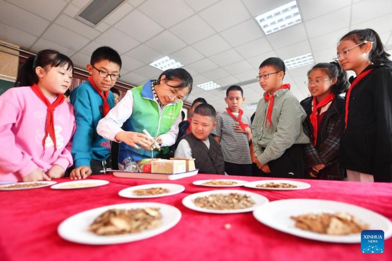 Μαθ?ματα για την παραδοσιακ? κινεζικ? ιατρικ? παρουσι?στηκαν σε ?λη την Κ?να για να υποδεχθο?ν την ετ?σια Παγκ?σμια Ημ?ρα Παραδοσιακ?? Ιατρικ??