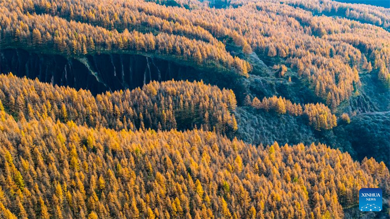 Η αεροφωτογραφ?α που τραβ?χτηκε στι? 26 Οκτωβρ?ου του 2025 δε?χνει το φθινοπωριν? τοπ?ο στο Βουν? Λιοουπανσ?ν στην π?λη Γκουγιου?ν τη? Αυτ?νομη? Περιοχ?? Νινγκσι? Χου?ι. (Φωτογραφ?α / Xinhua)