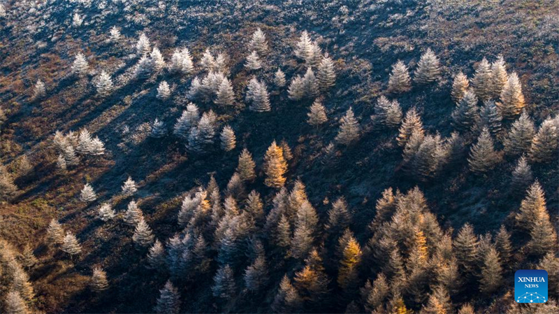 Φθινοπωριν? τοπ?ο του Βουνο? Λιοουπανσ?ν στην Αυτ?νομη Περιοχ? Νινγκσι?