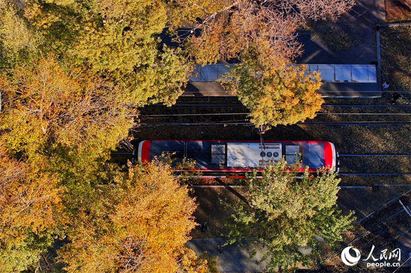 Τα τουριστικ? τραμ γ?νονται ?κινο?μενε? κ?ρτε? τη? π?λη??