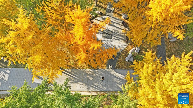 Φθινοπωριν? τοπ?ο σε ?λη την Κ?να